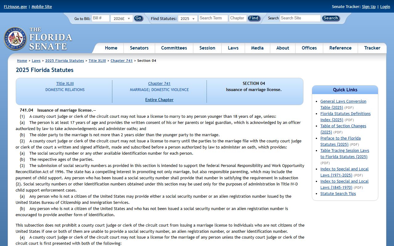 Florida marriage license statute that applies to Osceola County couples