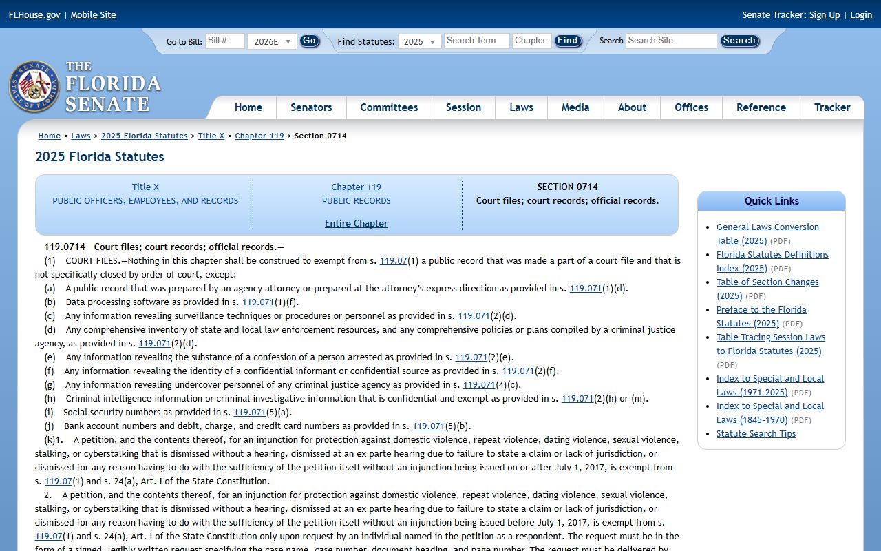 Florida court files public records statute section 119.0714 for Osceola County